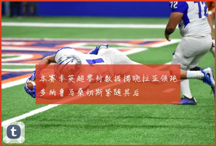 本赛季英超零封数据揭晓拉亚领跑多纳鲁马桑切斯紧随其后